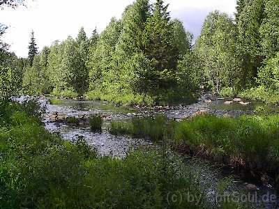 IM003643